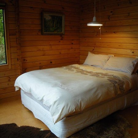 Arthur'S Pass Ecolodge Cass Екстериор снимка